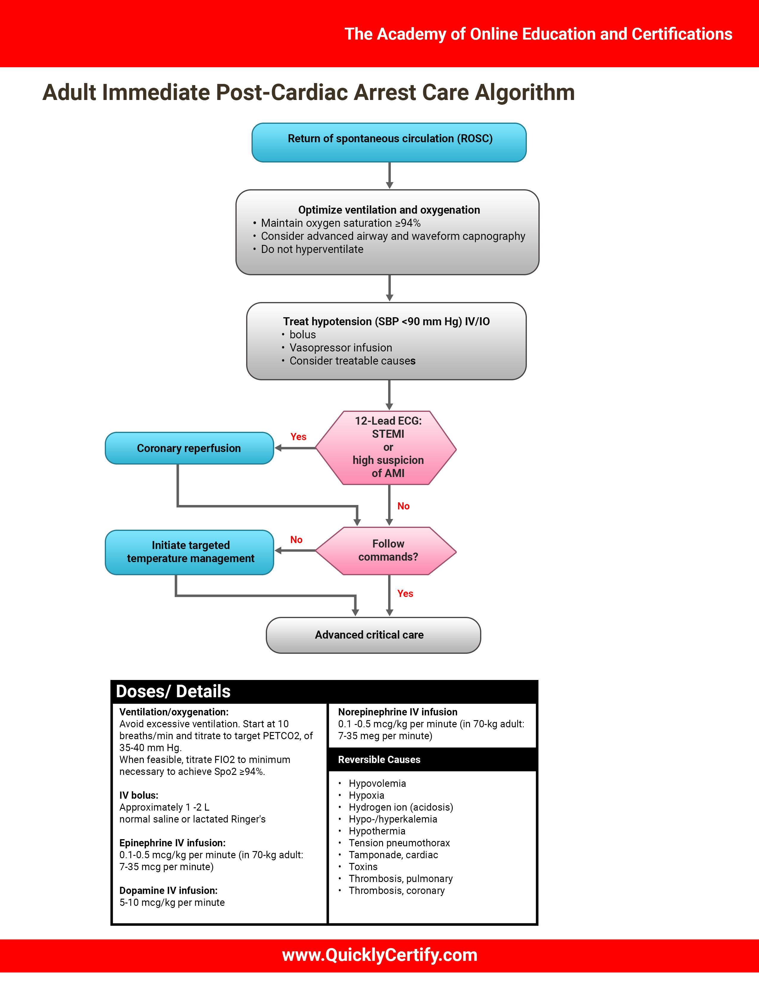 Advanced Cardiac Life Support Algorithms The Academy of Online